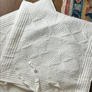 Pottery Barn Euro Shams White (2)